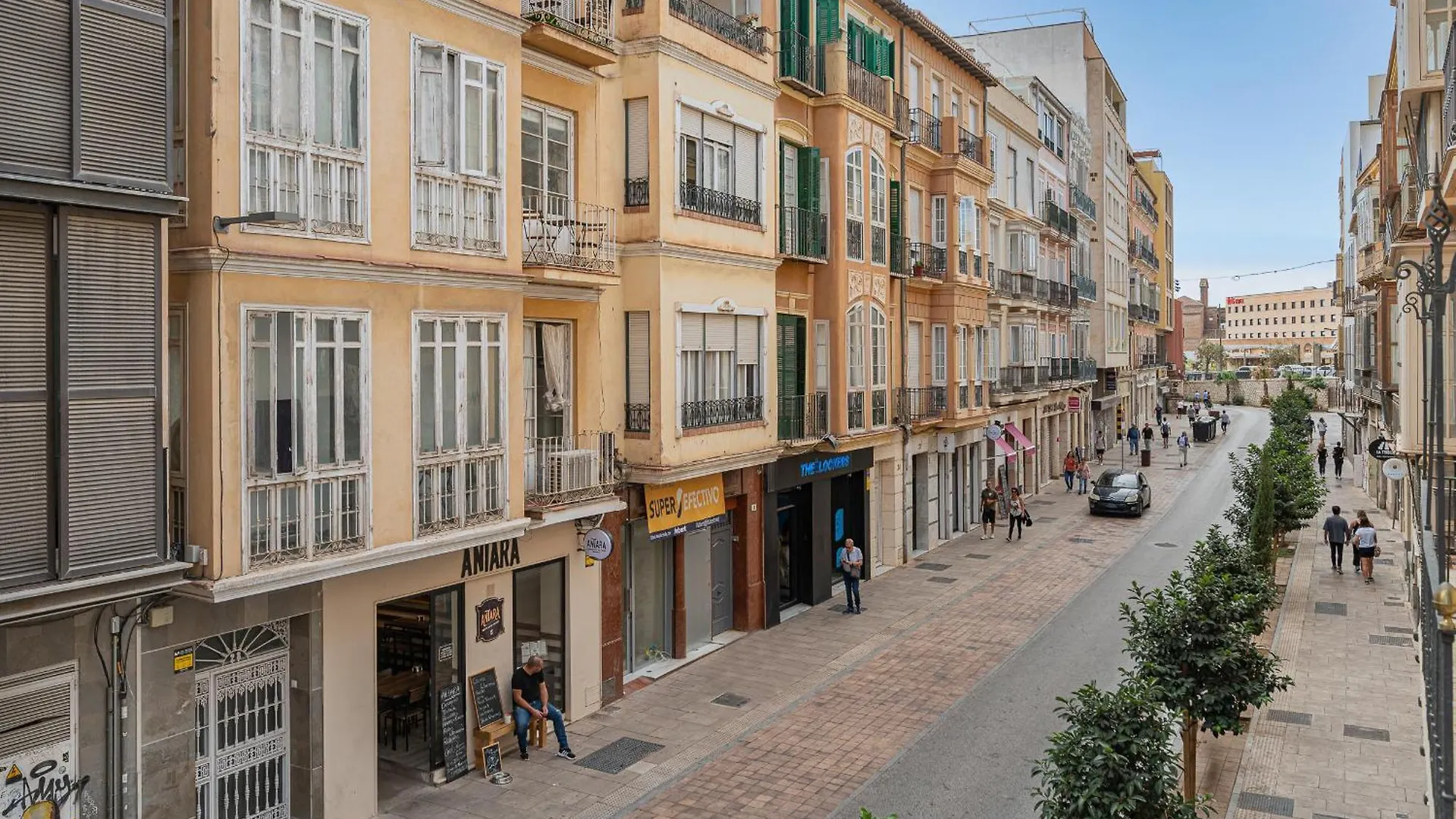 Dona Elvira Carreteria Apartment Malaga